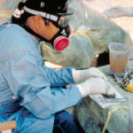 Media Focus on Panic Over Hantavirus Outbreak MISSES the Point