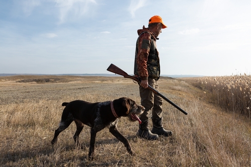 Mature,Man,Hunter,With,Gun,While,Walking,On,Field,With A man in hunting gear walking with a dog in a field during sunset