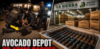 ATF & Mexican Marines Strike Sinaloa Arms Cache - 2,400 Rifles in Avocado Depot
