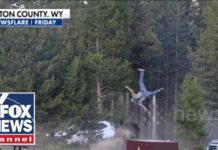 SHOCKING video: Bison sends tourist FLYING at Yellowstone National Park