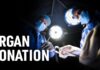 The Dead Donor Rule Is Under Attack — And Real Cases Show Why It Matters May 3, 2026 - Cover Story: Organ Donation
