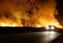 Brush fire on both sides of a road at night.